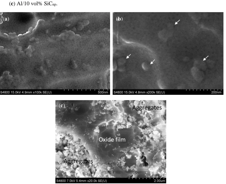 Figure  8.  Top-view  of  the  anodic  film  formed  on:  (a,b)  Al/5  vol%  SiC np ;    (c) Al/10 vol% SiC np 
