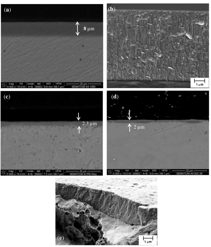Figure 9. SEM micrographs of cross-sections of the anodic films formed on: (a,b) AA1050;  (c) unreinforced Al-PM alloy; (d,e) Al/1 vol% SiC np 
