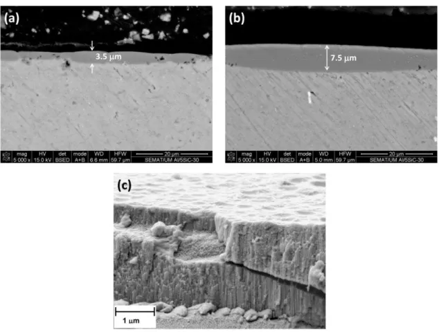 Figure  10.  Cross-sections  of  the  anodic  films  formed  on  Al/5  vol%  SiC np   specimens:    (a,b) areas with a non-uniform thickness film; (c) microstructure of the porous anodic layer