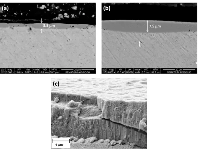 Figure  10.  Cross-sections  of  the  anodic  films  formed  on  Al/5  vol%  SiC np   specimens:    (a,b) areas with a non-uniform thickness film; (c) microstructure of the porous anodic layer