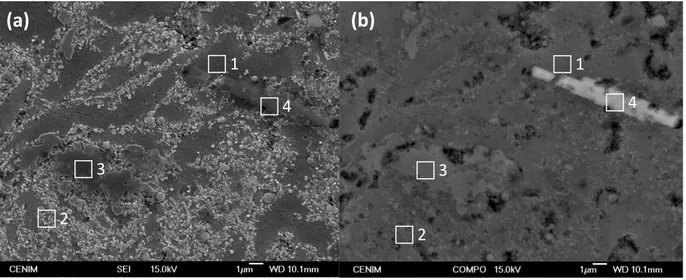Figure 4. (a) SEI image showing the surface appearance of the Al/5 vol% SiC np  composite  etched in 0.5 vol% HF for 30 s; (b) BEI image of the same area