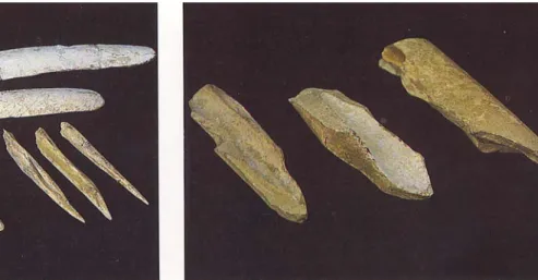 Fig. 10 - Costelas polidas, punções e furadores de osso -  cultura mesolítica 