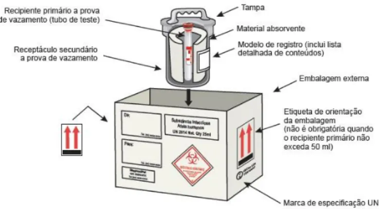 Fig. 12 - Exemplo de embalagem para transporte de substâncias infeciosas da categoria A