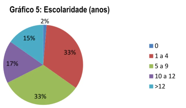 Gráfico 5: Escolaridade (anos)