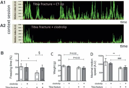 Fig. 7.  Depletion of systemic macrophages reduces surgery-induced memory dysfunction