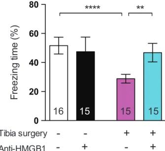 Fig. 3. Effects of preoperative administration of high-mobility  group  box   1  protein  (HMGB1)  neutralizing  monoclonal   anti-body  on  postsurgical  memory  impairment