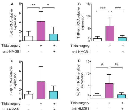 Fig. 5. Effects of high-mobility group box   1 protein (HMGB1) neutralizing monoclonal antibody on hippocampal transcription of  interleukin (IL)-6, tumor necrosis factor (TNF)-α, IL-1β, and monocyte chemotactic protein (MCP)-1 24 h after tibia surgery (Ar