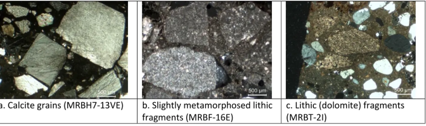 Figure 3.3. Observations under the polarising microscope in XPL. 