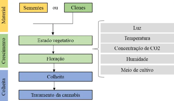 Figura 3 - Fatores ambientais ao longo do processo de crescimento que afetam o rendimento e a qualidade  da canábis (adaptado de: Jin et al., 2019)