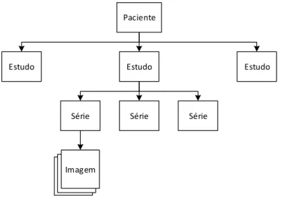 Figura 2.2: Hierarquia da informação DICOM
