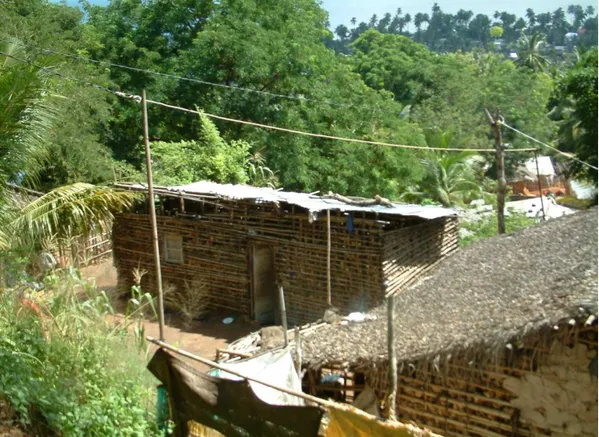 Fig.  – Cidade informal, habitação em caniço, Pemba (2011) 