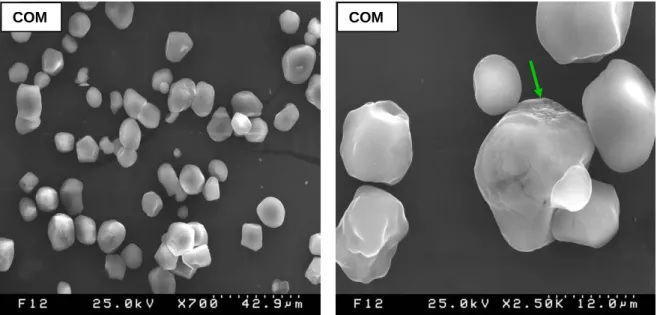 Figura 2.5: Continuação das micrografias obtidas por MEV dos amidos analisados. 