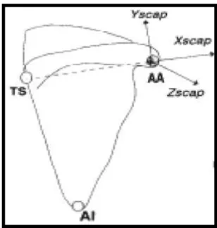 Figura 6: Sistema de coordenadas local da omoplata (Meskers  , 1998) 