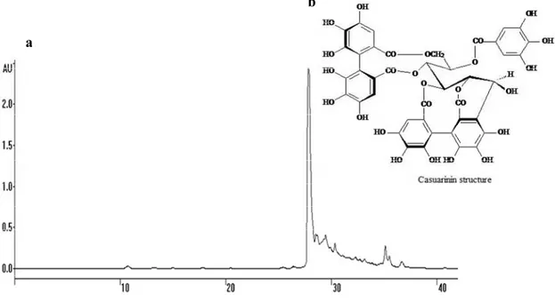 Figure 1. (a) Semi-preparative HPLC-UV chromatogram of F2 from P. cauliflora leaves.  Chromatographic conditions: HPLC with UV detector set at 254 nm, the column was   RP-18, elution phase acidified with trifluoroacetic acid 0.05% in linear gradient elutio