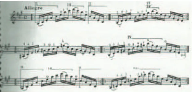 Fig. 10.  Trecho da obra Estudo 2 para viol‹o solo de Heitor Villa-Lobos. 