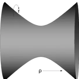 Figure 1: AdS Space in Global coordinates