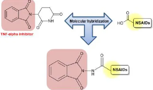 Figure 8. General structures of NSAID hybrids with COX and TNF- α inhibiton properties