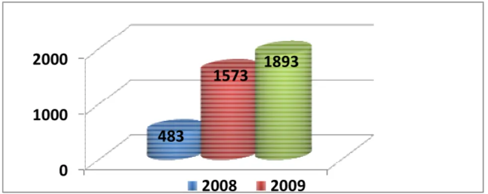 Figure 3. Number of outreach visits 2008-2010. Source Psychiatric Hospital, 2010. 