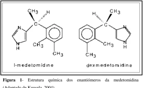 Figura  1-  Estrutura  química  dos  enantiómeros  da  medetomidina         (Adaptado de Kuusela, 2004) 