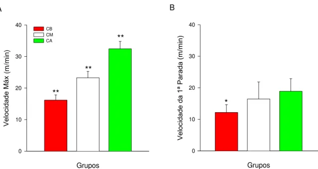 Figura 11 – Velocidades alcançadas na esteira pelos grupos experimentais (n = 33). A: Velocidade máxima de  corrida (m/min) alcançada no melhor teste