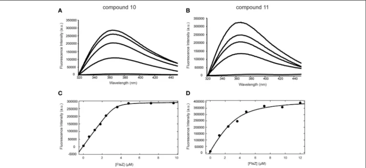 FIGURE 3 | Binding of compounds 10 and 11 to FtsZ monitored by fluorescence spectroscopy