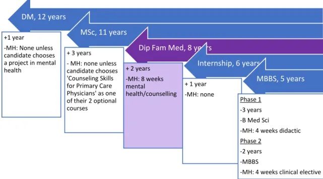 Figure 4: Schematic of Training Pathways to Primary Care 