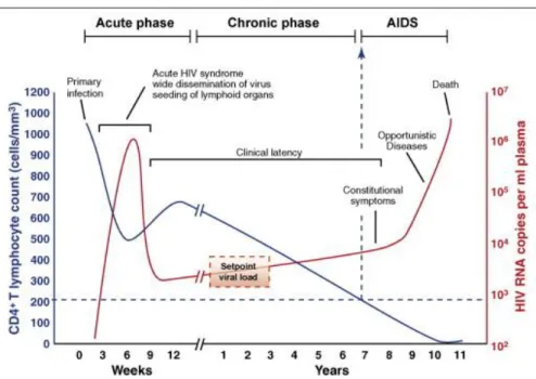 Figure 1.4 - HIV course of infection. From (An, P. and Winkler, C.A., 2010) 