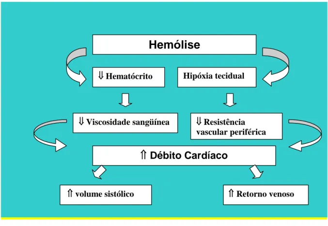 FIGURA 1 – Resumo dos mecanismos adaptativos desenvolvidos pelo feto   diante da anemia