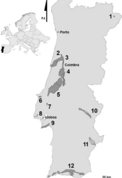 Figure 2. Main karst areas: 1 – Dine e Vimioso; 2 – Outil-Cantanhede; 3 – Mealhada; 4 – Sicó; 5 –  Estremenho; 6 – Cesaredas; 7 – Montejunto; 8 – Península de Lisboa; 9 – Arrábida; 10 –  Estremoz-Cano; 11 – Adiça-Ficalho; 12 – Algarve (adapted from Rebolei