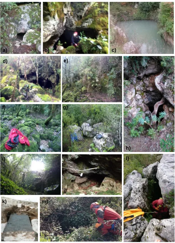 Figure 5. a) Gruta da Arrifana b) Lapa da Canada I c) Gruta da Nascente da Quebrada (source: 