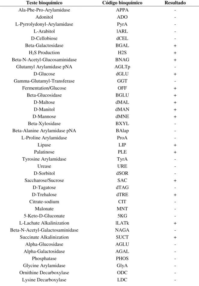 Tabela  2.  Perfil  bioquímico  de  A.  dhakensis  fornecido  pelo  sistema  de  identificação  automatizado VITEK 2