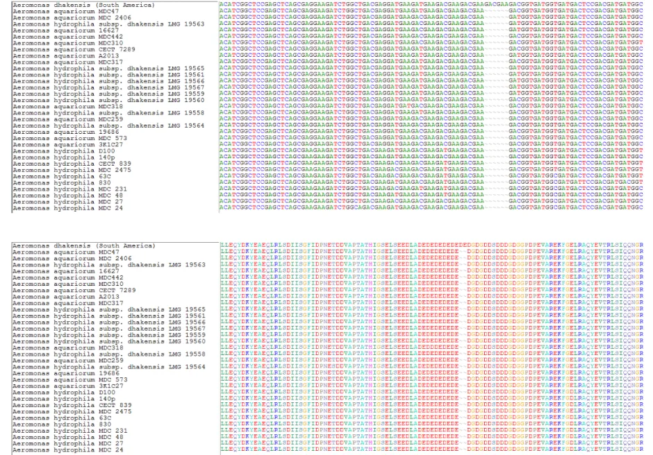 Figura 1. Alinhamento de sequências do gene rpoD comparando a sequência da cepa de  A