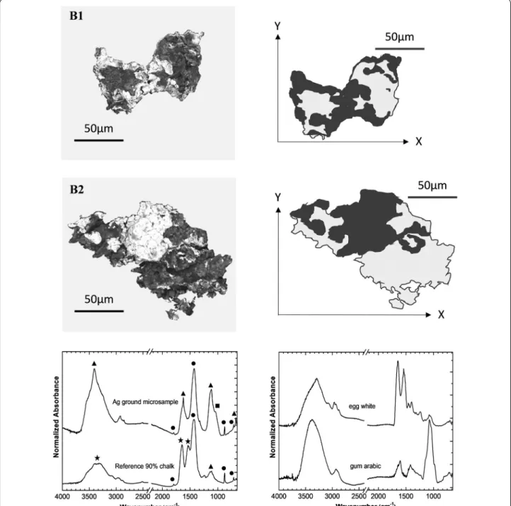 Fig. 6  SEM images of the microsamples (backgrounds were removed) from the red flower bud in folio 73: B1 and B2 and its schematic depiction: 