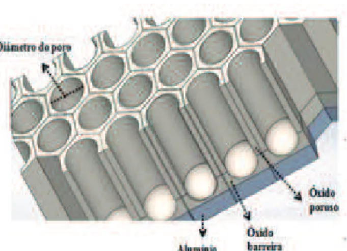 Figura 1 – Ilustração da vista transversal de um filme de alumina anódica porosa adaptado  de Akbarpour, H