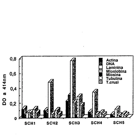 FIGURA  10  - Reatividade  dos  anticorpos  presentes  nos  ICC  apos  dissociação  com  ácido