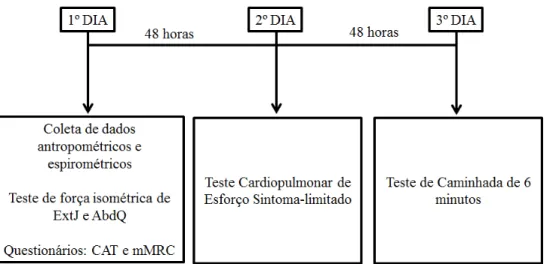 Figura  1.  Representação  cronológica  das  avaliações  realizadas  durante  o  estudo