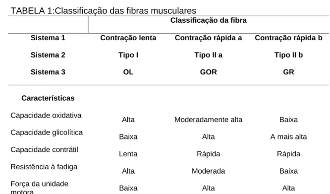 TABELA 1:Classificação das fibras musculares