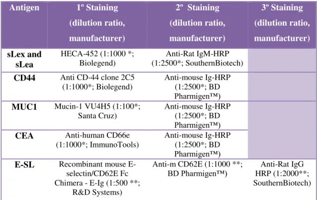 Table 2.2: List of molecules/antibodies and respective dilutions used in western blotting experiences: * Diluted  in TBS 1×-Tween 0.1%; ** Diluted in TBS 1×-Tween 0.1% + 2mM CaCl 2 