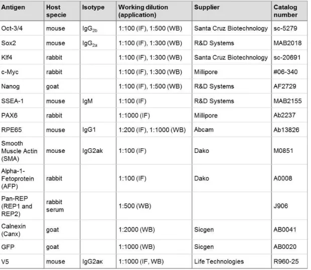Table  2.1:  List  of  antibodies  used  throughout  this  work,  either  for  Immunofluorescence (IF) or western blot (WB) applications