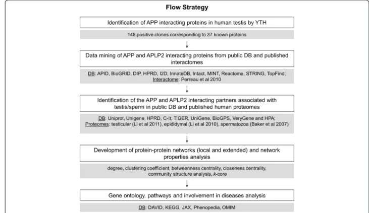 Figure 1 Experimental methodology.