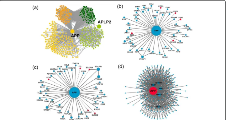 Figure 3 APP protein-protein interaction networks. (a) Local APP/APLP2 network. Proteins with light orange (M1) and dark orange (M4) are mostly involved in G-protein coupled receptor protein signaling pathway (Biological Process; BP) and located at the pla