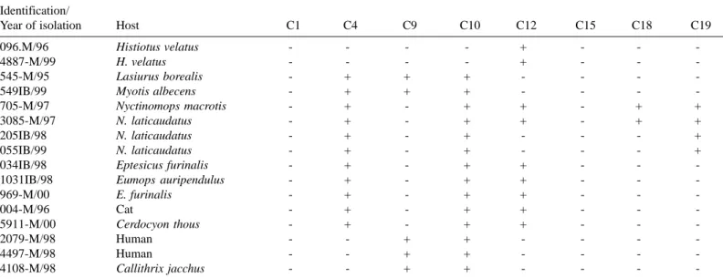 Table 4 shows the occurrence of more than one antigenic variant, variants 2 and 3, circulating simultaneously in a rabies outbreak in the state of São Paulo and the importance of antigenic studies in the identification and differentiation of multiple viral