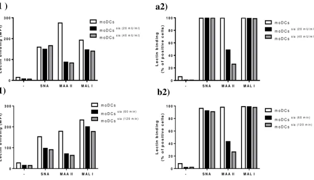Figure 12 - Lectin binding to cell surface of moDCs. MoDCs were stained with Sambucus nigra lectin (SNA  - recognizing α2,6-sialic-acids) and Maackia amurensis lectin (MAA II - recognizing  α2,3-sialic-acids on  O-glycans  and  MAL  I  -  recognizing  α2,3