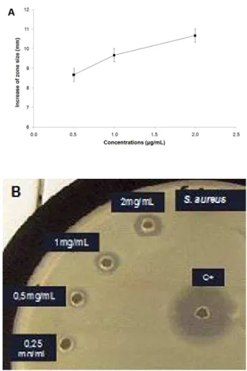 Figure 2. Antibacterial activity of BleuTV in a disk- disk-diffusion assay. (A, B) Antibacterial activity of BleuTV  against S