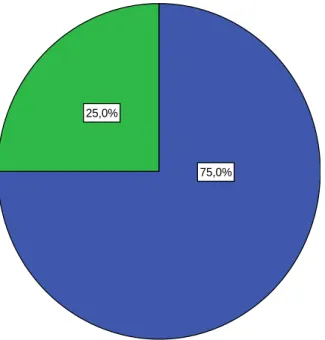 Gráfico 9 - Distribuição dos empregadores por género 