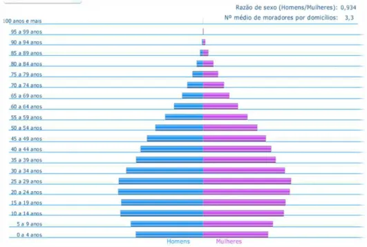 Gráfico 2: Pirâmide etária segundo o sexo e as faixas etárias.  