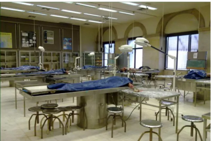 Figure 1 – «The Lisbon Dissection room»: The Anatomy Depart- Depart-ment of the New University of Lisbon is well equipped to receive  and conserve every cadaveric donation, and the dissection room  can receive several working stations simultaneously.