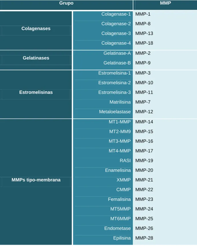 Tabela 1. Família das MMPs. Adaptado de Lynch e  Matrisian, 2002. 