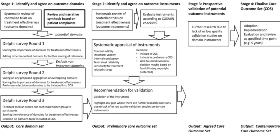 Figure 1 The proposed stepwise roadmap for developing a core outcome set highlighting the component relating to the current systematic review