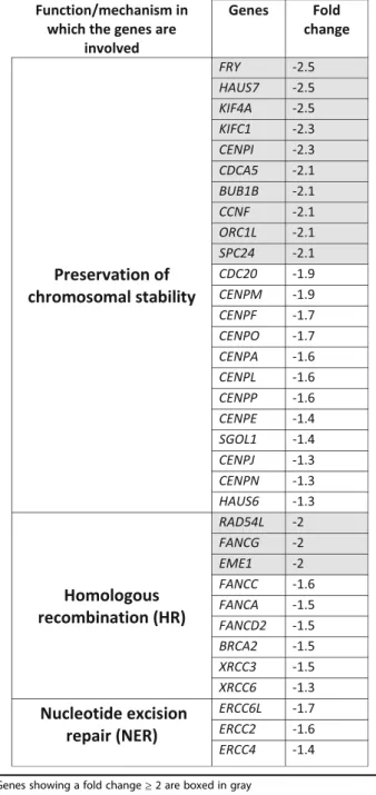 Table 1 Genes involved in maintaining chromosomal stability and/or DNA repair showing down-regulation in HT1376 sT cells